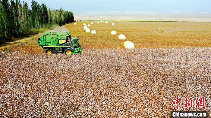 近年來(lái)，當(dāng)?shù)孛藁ǚN植戶的生產(chǎn)生活發(fā)生了翻天覆地的變化?！《?攝