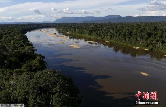 資料圖:亞馬孫雨林內(nèi)的河流。