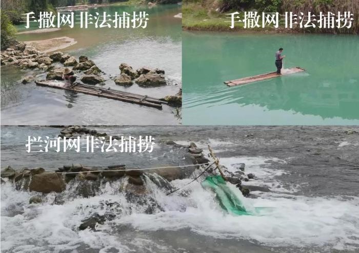 2021年9—10月，前期暗查發(fā)現(xiàn)，保護(hù)區(qū)核心區(qū)內(nèi)非法捕撈行為十分猖獗