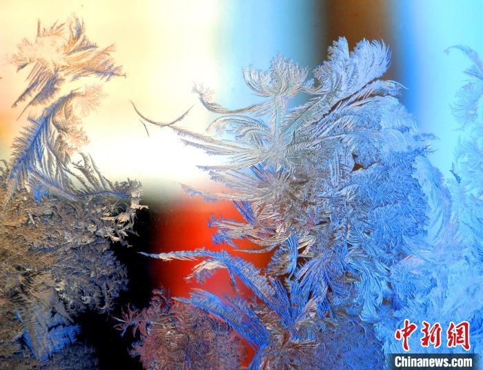 冰窗花千姿百態(tài)?！O書程 攝