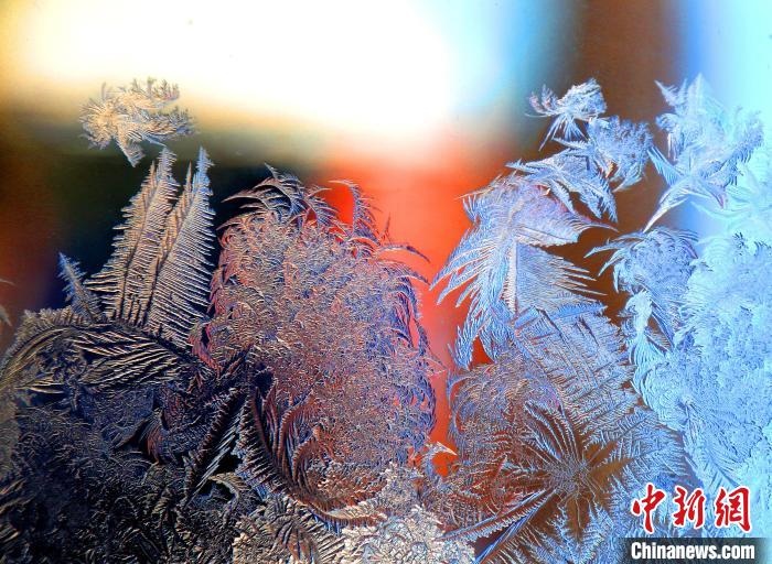 惟妙惟肖的冰窗花，似一幅風景畫。　孫書程 攝