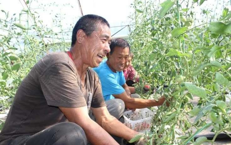 1598588537803870.jpg 微信圖片_20200828122157.jpg