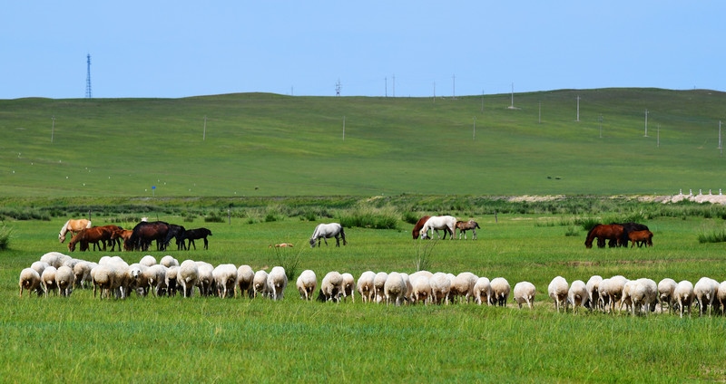 1606877032224896.jpg 微信圖片_20201202100734.jpg