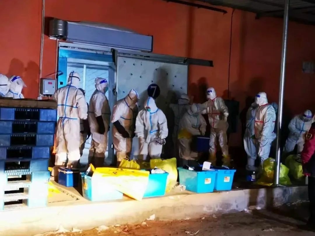 1607264190578793.png 6f89fc23ff136ccb3feb666b1f04e989.png