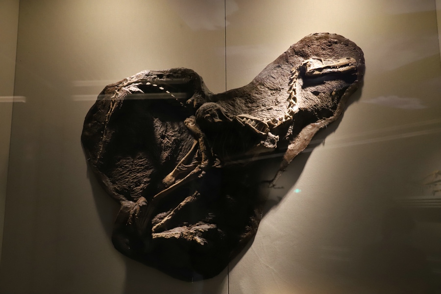 1621331258543360.jpg 精美臨河盜龍.JPG