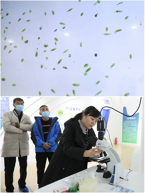 1642936237335303.jpg 3211.jpg