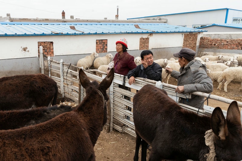 1649992225130007.jpg 微信圖片_20220415110203_副本.jpg