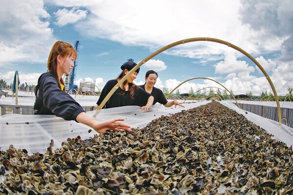 1655803296148287.jpg cec8f03c6d2f43669e66277b96c32286_b_B_BASIC.jpg