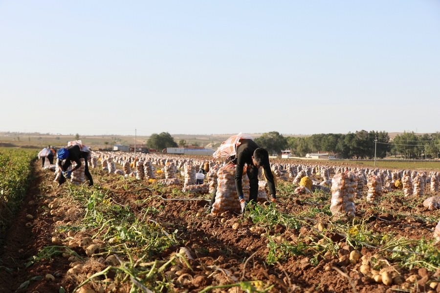 1663645342387199.jpg 7O5A2656.JPG