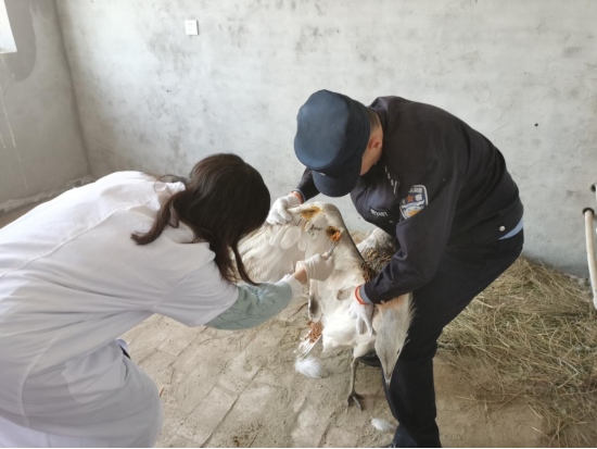 1678276334137538.png image.png