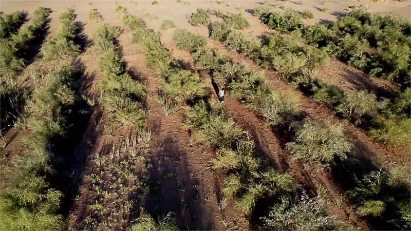 1678680499690315.jpg 微信圖片_20230313120533.jpg