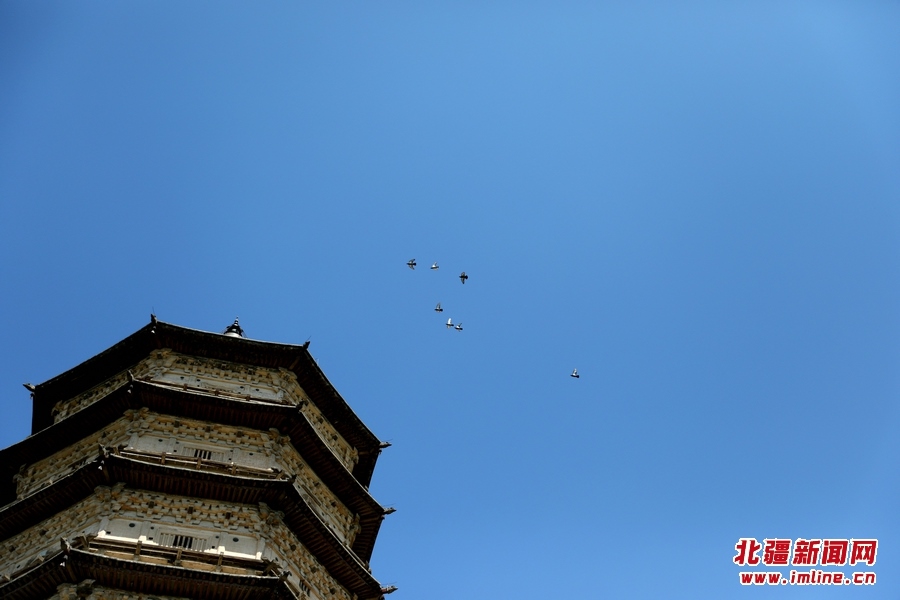 1687709018136810.jpg 7O5A6641_副本.JPG