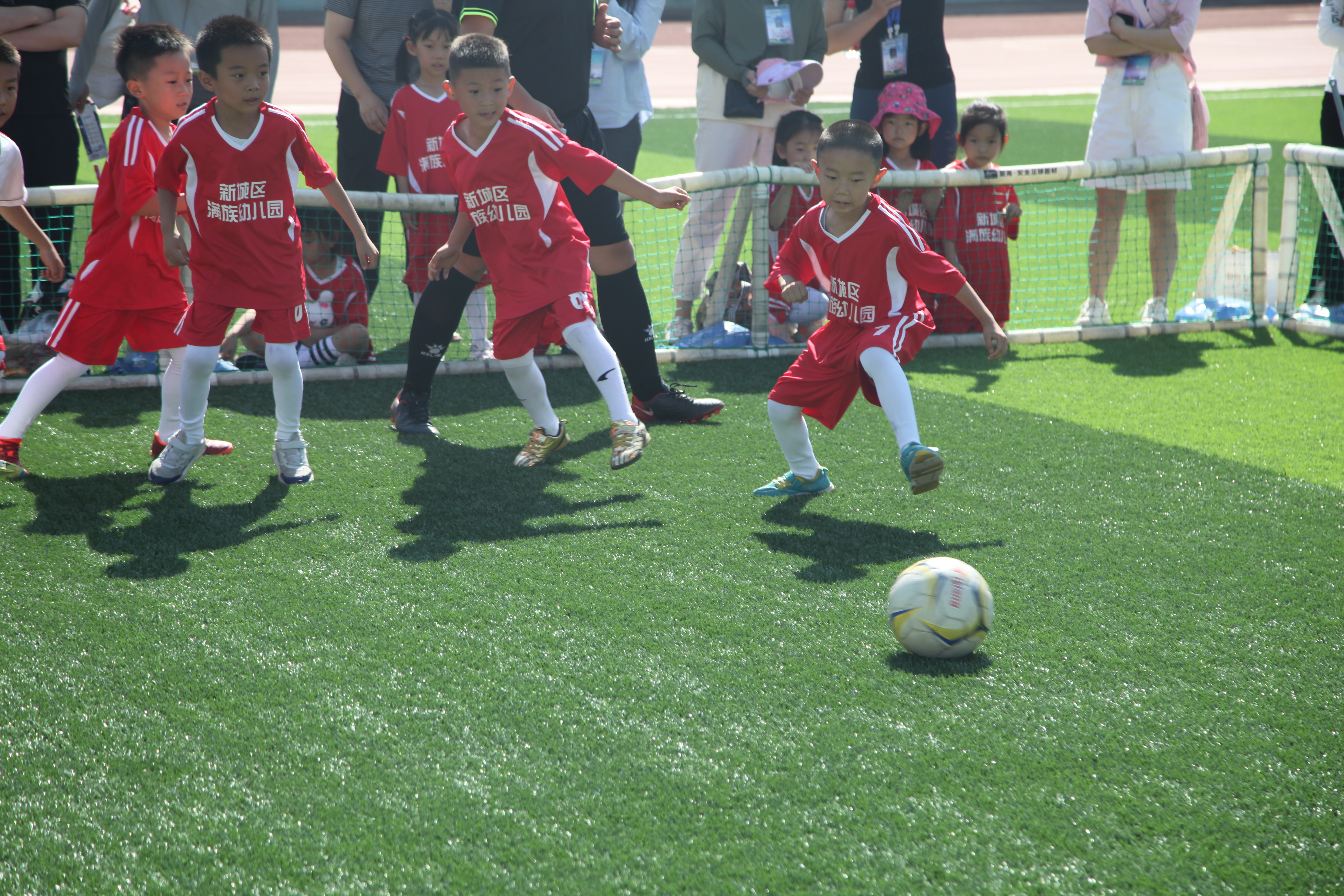 1689652721127744.jpg 1689652721127744.jpg