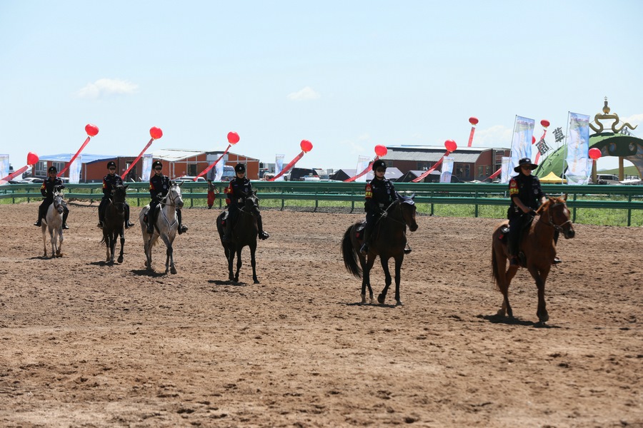 1691237520123337.jpg 7O5A3739.JPG