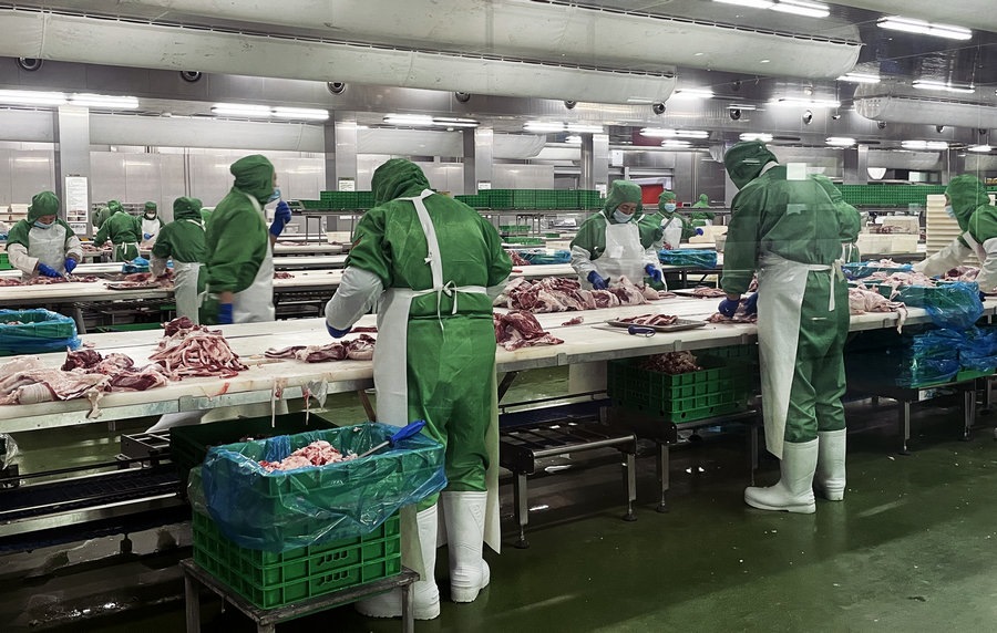 1693305988572580.jpg 005.jpg