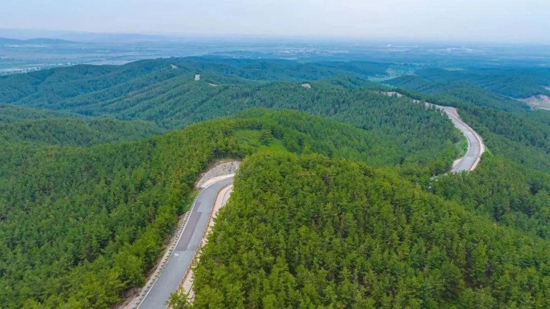 1703046977199323.jpg 640 (1).jpg