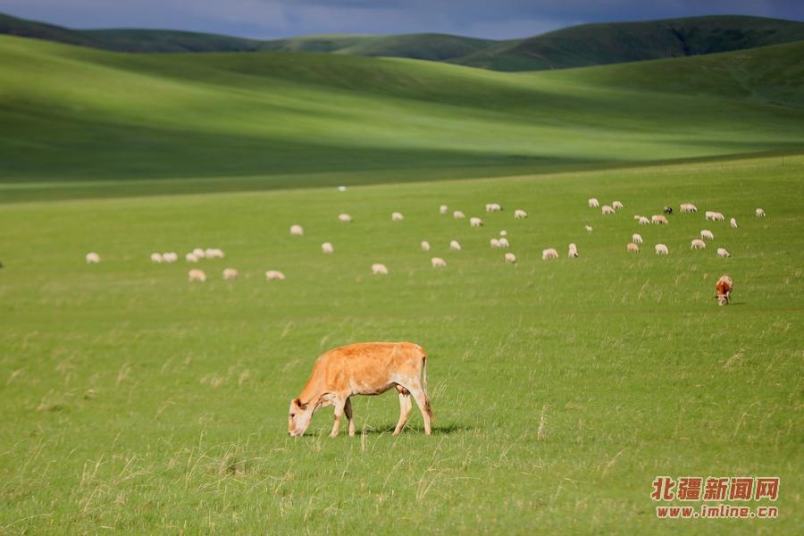 1703667002244076.jpg _K4I9674.JPG