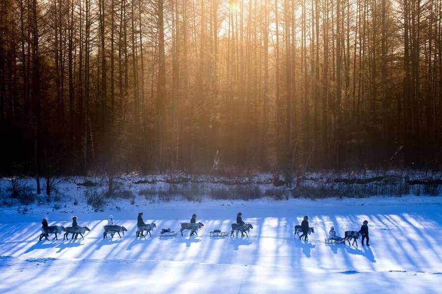 1703777203109748.png 圖片5.png