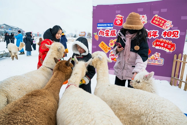 1706166237123944.jpg 3 (1).jpg