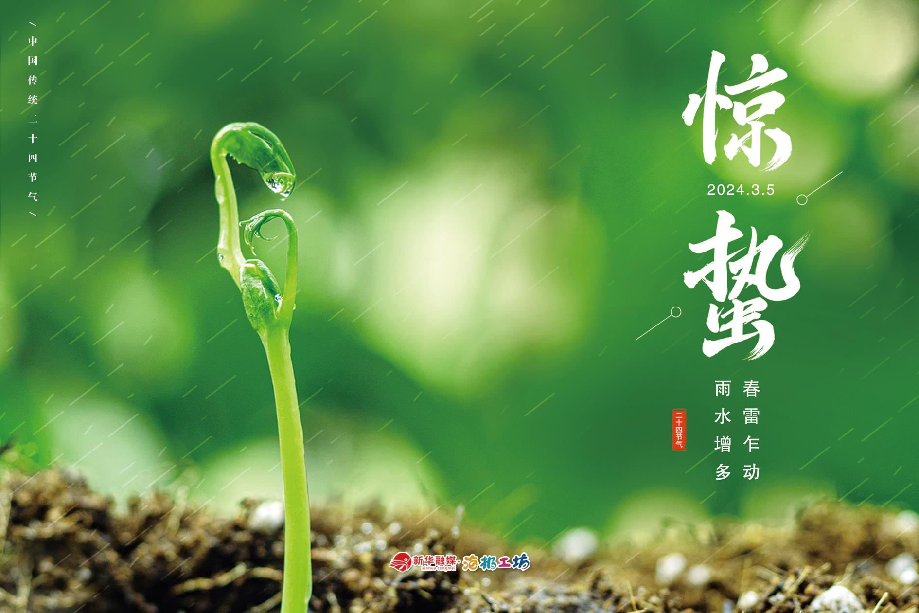 1709602799134155.jpg 1709602799134155.jpg