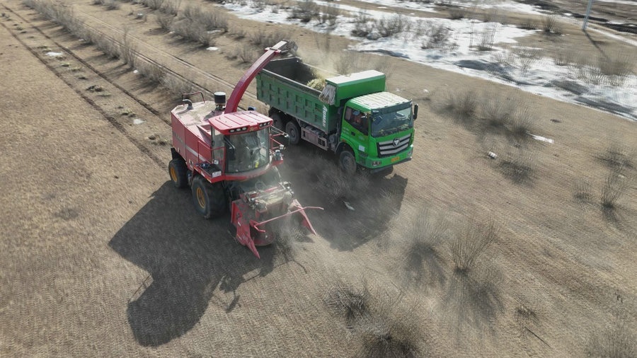 1711440726139935.jpg _O6I0394.JPG