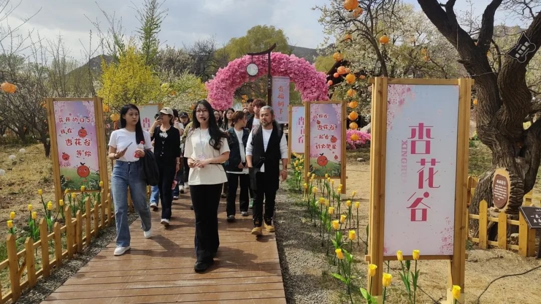 1713657047120476.jpg 04.jpg