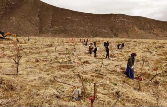 1713783737129977.png 第55個(gè)世界地球日2371.png