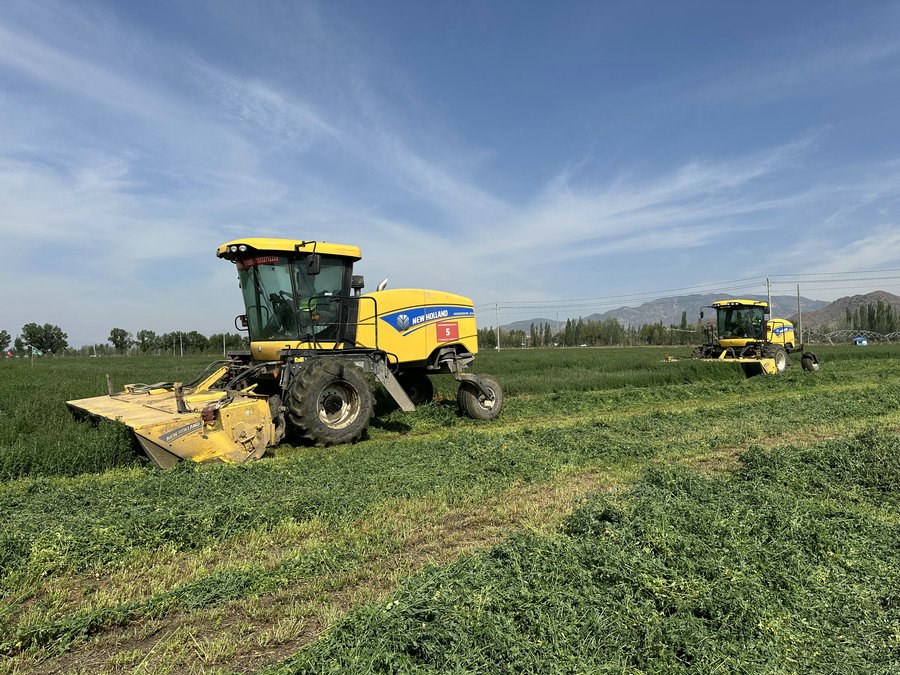 1716885806277382.jpg _O6I0394.JPG