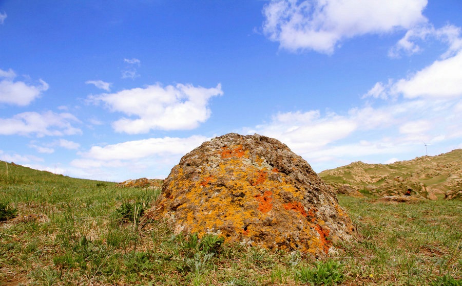 1718092687109937.jpg 1718006437121934.jpg