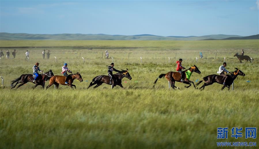 1720694110137843.jpg 10-200P3111137-50.jpg