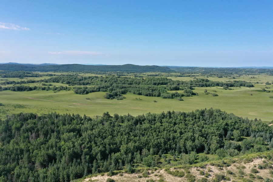 1722874632323512.jpg DJI_0414.jpg