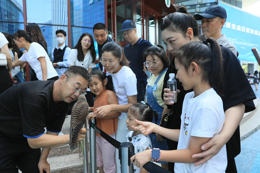 1723712220168512.jpg 7O5A1917.jpg