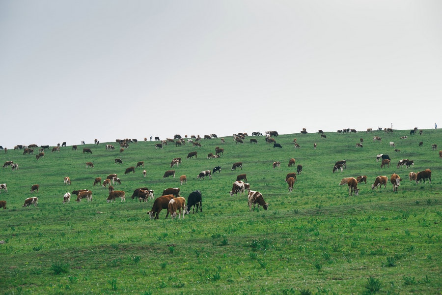 1729582597693543.jpg 微信圖片_20240709110746.jpg