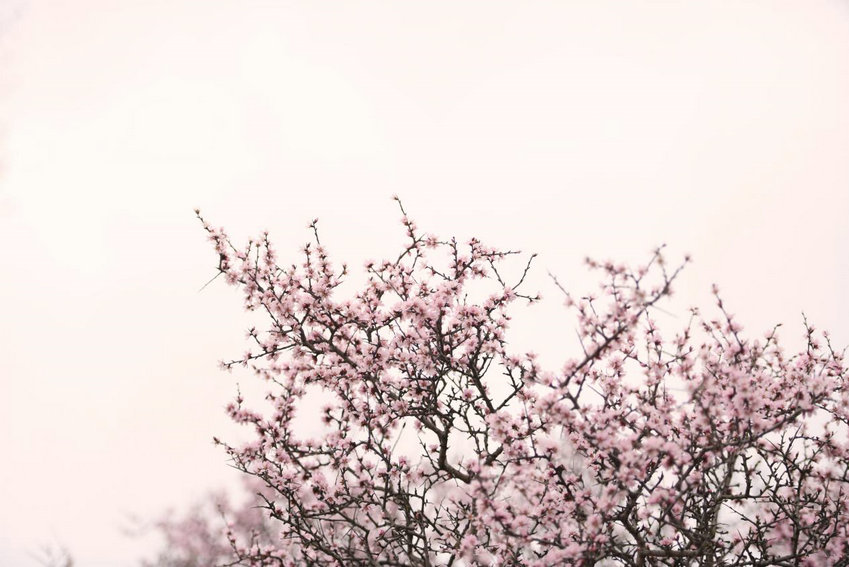 1744184300106507.jpg 土默川5.jpg