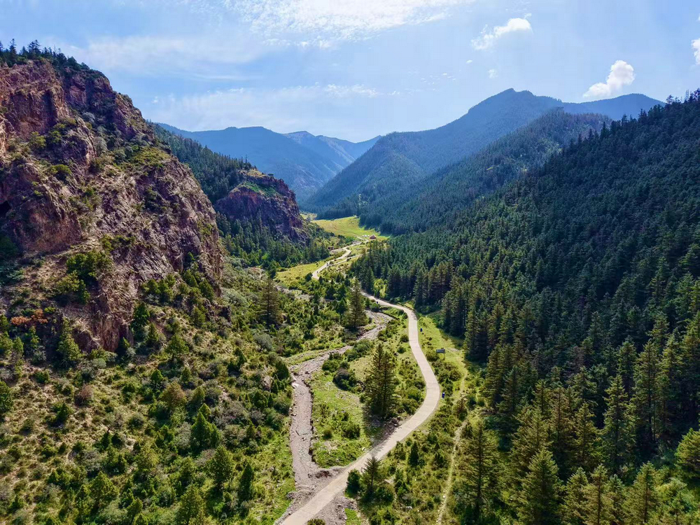 1757578203497533.jpg 155556_828.jpg