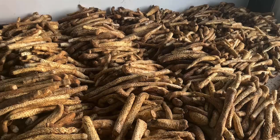 1757776630255651.png 圖片16.png