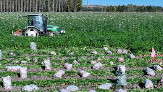 1760062865542200.jpg 赤峰4.jpg