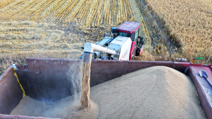 1760944912406263.png 3.png