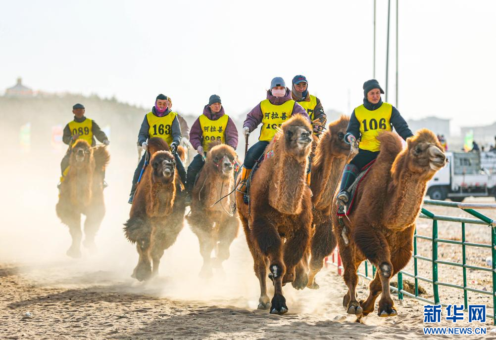 3月7日，賽駝手在6000米成年駱駝場(chǎng)地速度賽比賽中。.jpg