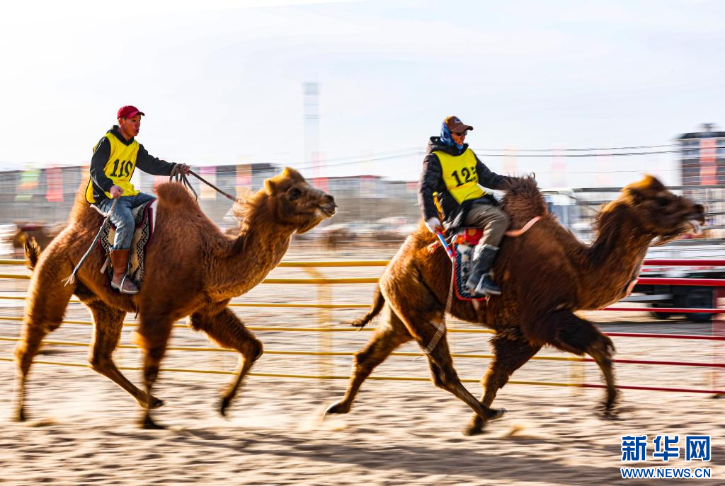 3月7日，賽駝手在6000米成年駱駝場(chǎng)地速度賽比賽中.jpg