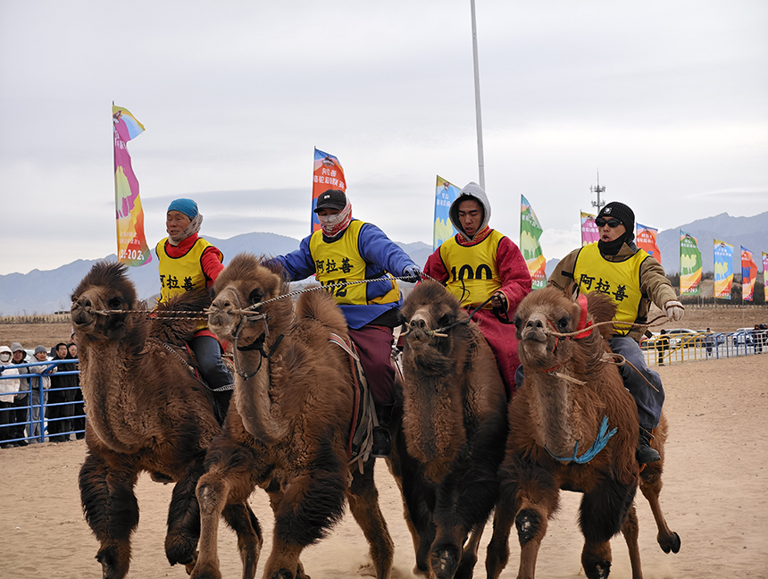 1773028795523782.jpg _DSC3208.jpg