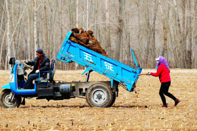 1773557952134155.png 圖片41.png