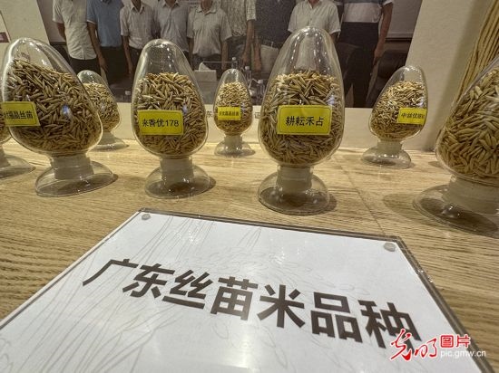 【高質量發(fā)展看中國】5G智慧農業(yè) 種出高質量好味“稻”