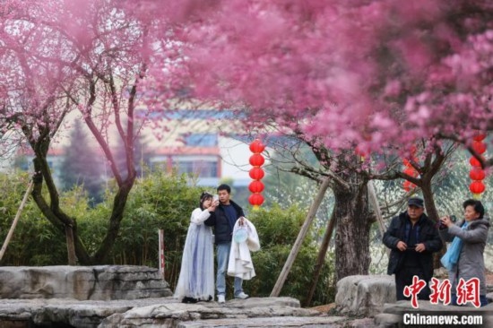 2月23日，市民在乾藝梅園景區(qū)觀賞綻放的梅花。瞿宏倫 攝