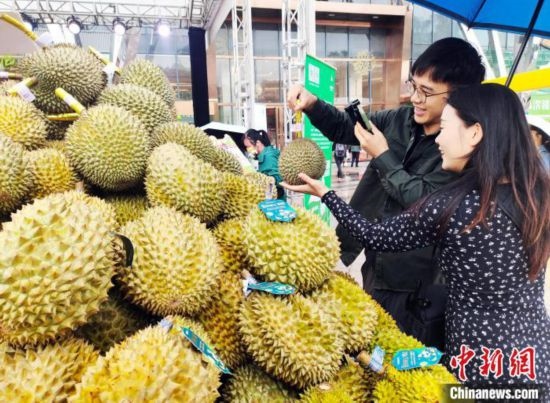 圖為廣西南寧市民在選購榴蓮。黃艷梅 攝