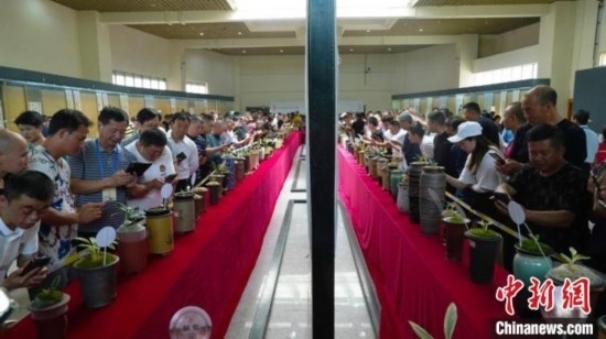 圖為活動(dòng)現(xiàn)場(chǎng)。 云南省委臺(tái)辦供圖