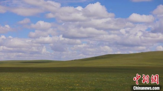 圖為點(diǎn)點(diǎn)新綠在原野上蓄勢待發(fā)。 歐戈 攝