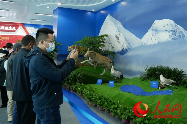 6月17日，觀眾正在觀展。人民網(wǎng) 韋衍行攝