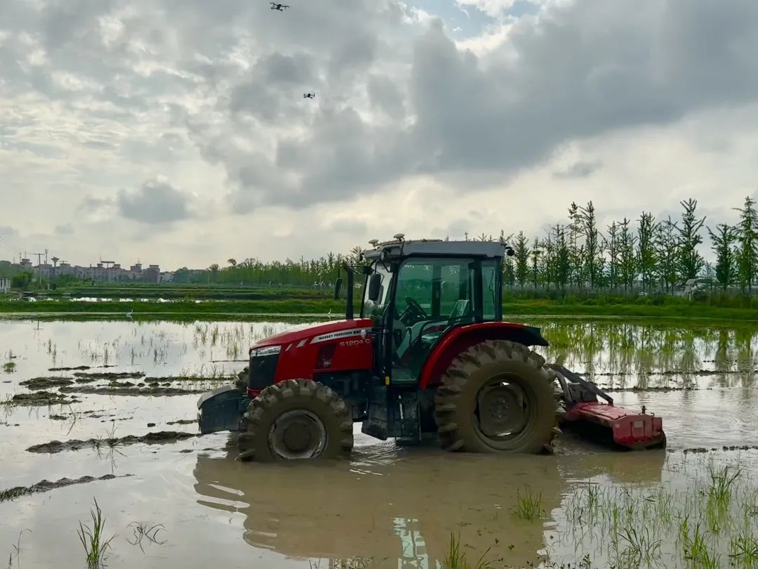 浙江省金華市東陽市城東街道寀盧村的一臺無人駕駛耕地機。靜玄 攝