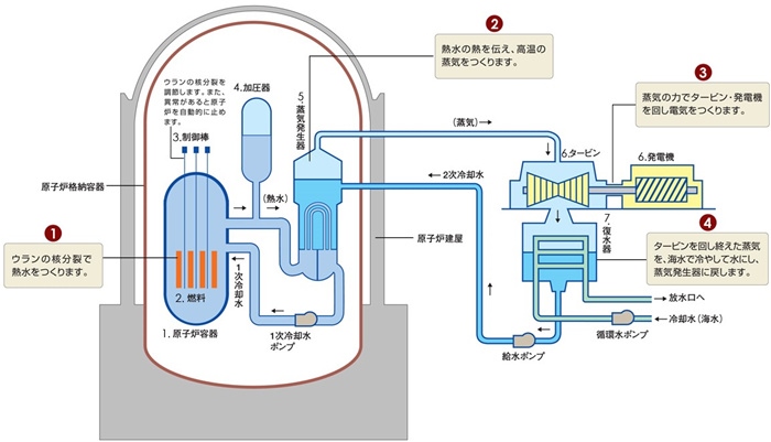 核電站運(yùn)作原理圖。通常的核電站排水未直接接觸核燃料。（圖片來(lái)源：日本北海道電力株式會(huì)社網(wǎng)站）